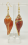 Creole earrings with turbo shell