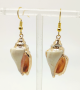 Creole earrings with conch shell