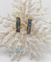 Abalone mother-of-pearl hook earrings with sticks