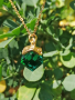 Pendant with green crystal cube